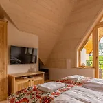 Willa Rogata Tatra View & Jacuzzi Kościelisko