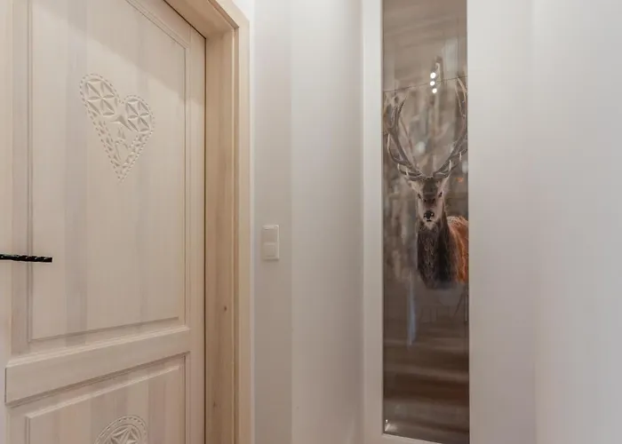 Rogata Premium, Villa